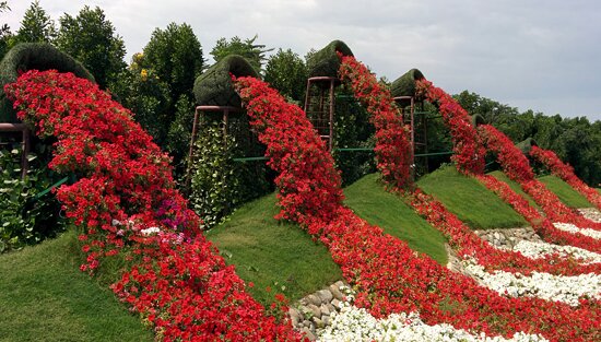 Dubai Miracle Garden