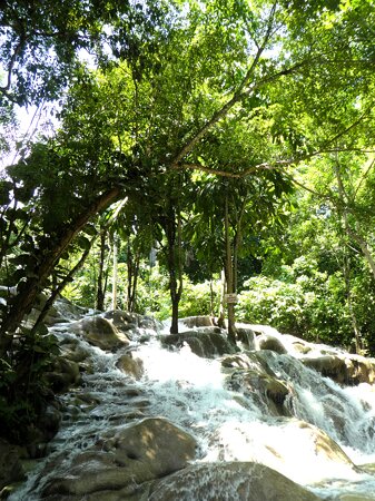 Jamaica - Dunn&#039;s River Falls