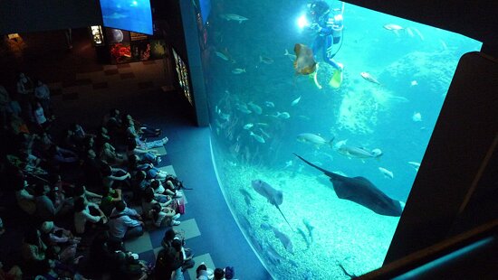 Enoshima Aquarium