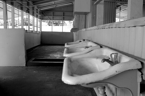 The Ablution Block, Fannie Bay Gaol