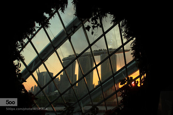 Singapore in the jungle