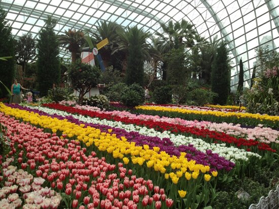 Flower Dome
