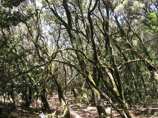 پارک ملی گاراجونای