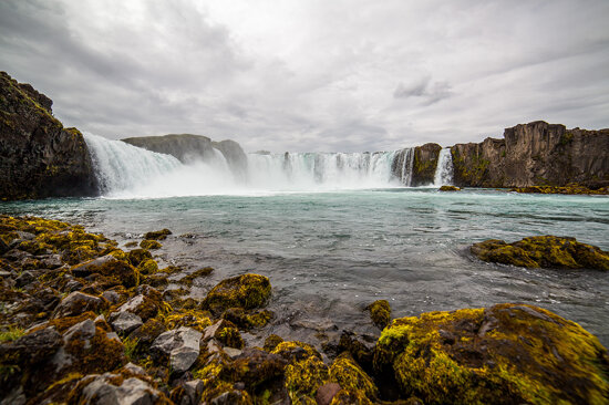 July 05, 2017--2.jpg