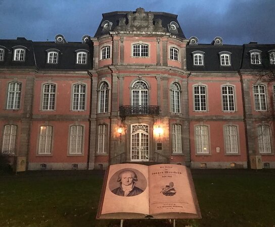 Goethe-Museum (Düsseldorf)