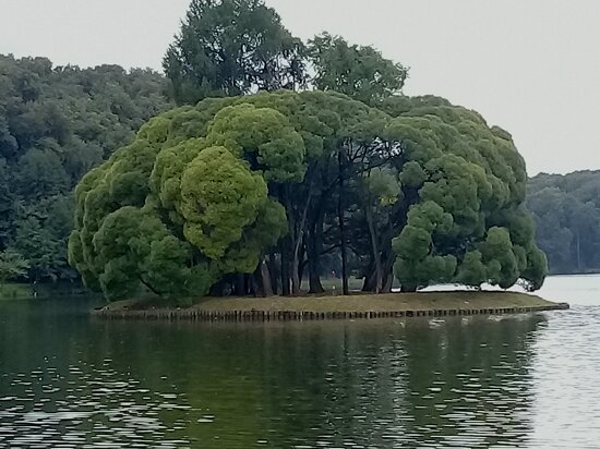 Golitsynsky Ponds (Голицынские пруды)