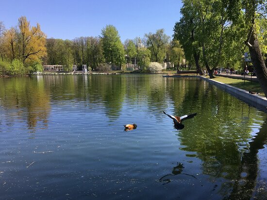 Golitsynsky Ponds (Голицынские пруды)