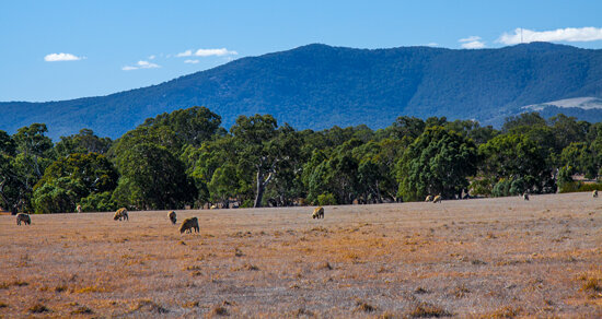 Grampians National Park