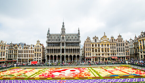 Belgique - Bruxelles - Grand-Place - Tapis de Fleurs 2016