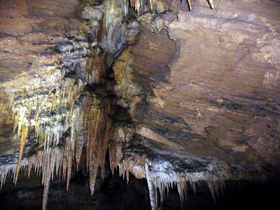 19_014 Tasmania Cave