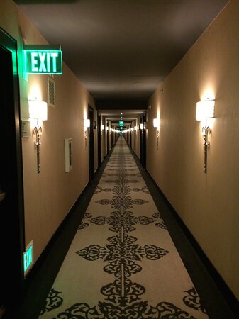 Hard Rock Hotel and Casino (Las Vegas)