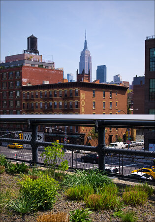 View from the High Line
