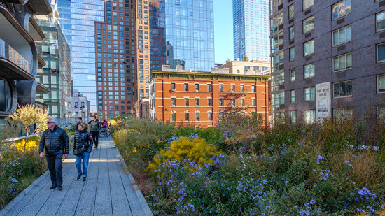 The High Line, New York City
