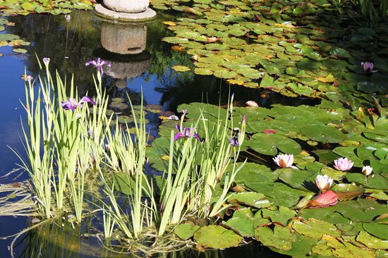 Himeji Garden IMG_7192