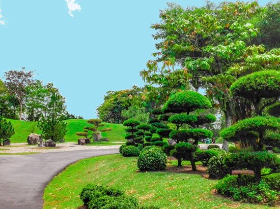 Japanese Garden, Singapore