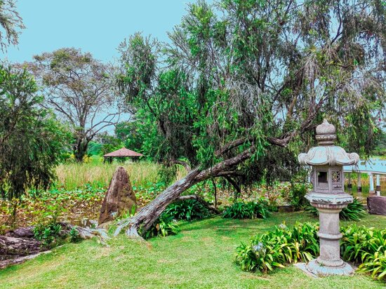 Japanese Garden, Singapore