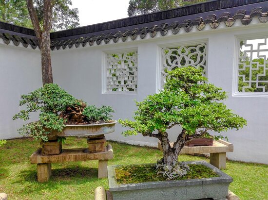 Japanese Garden, Singapore