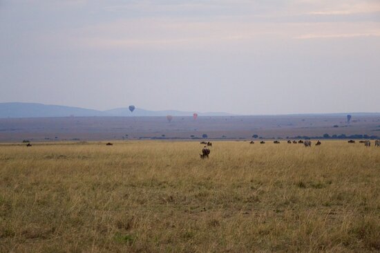 African safari, Aug 2014 - 092
