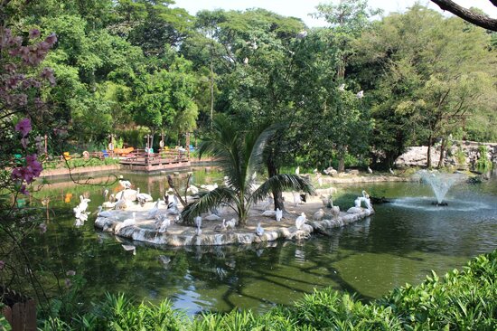 Jurong Bird Park