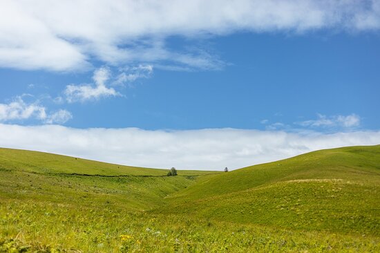 Kitulo National Park