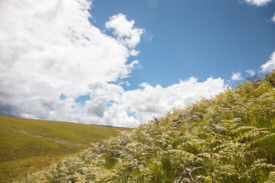 Kitulo National Park