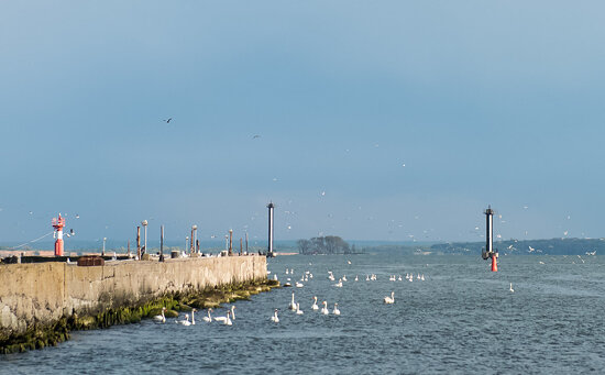 Kaliningrad / May 2015