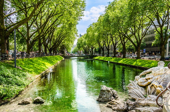 Die Königsallee in Grün