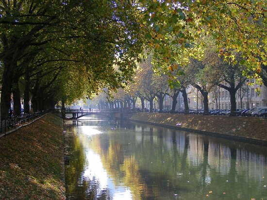Düsseldorf Königsallee in Autumn