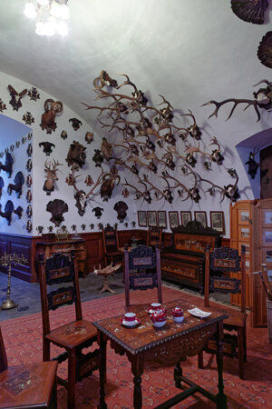 Château de Konopiste - République Tchèque