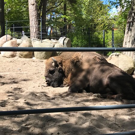 Högholmen, Helsingfors stad