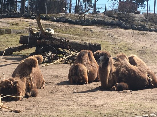 Högholmen, Helsingfors stad