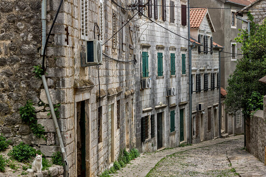Straße mit Katze / Street with a cat