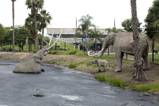 La Brea Tar Pits