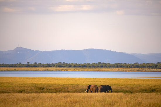 A morning in Lake Kariba