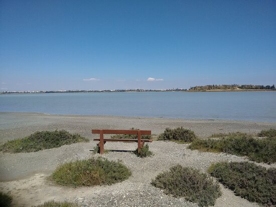 Larnaca Salt Lake