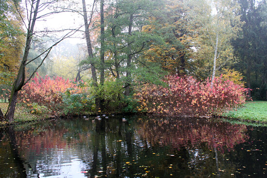 Warsaw - Lazienki Gardens on a Misty Autumn Morning