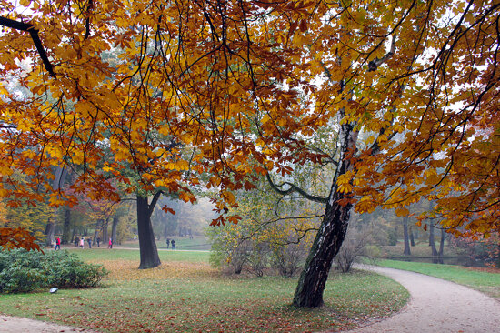 Warsaw - Lazienki Gardens on a Misty Autumn Morning