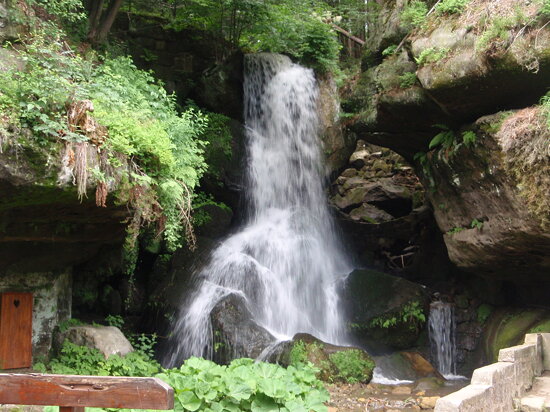 Elbsandstein_2011_06_222