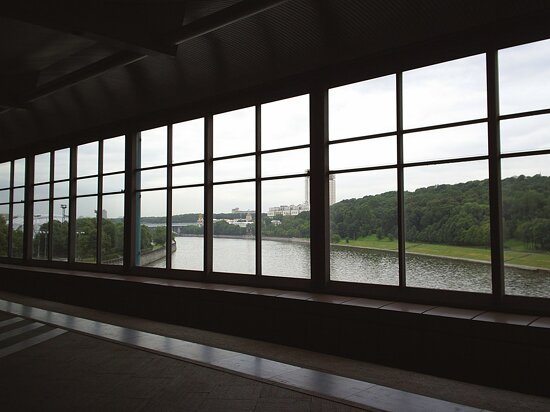 Luzhniki Metro Bridge