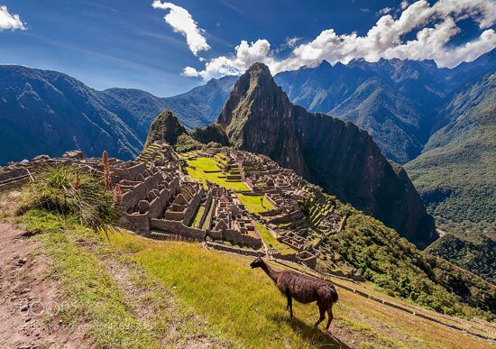 Machu Picchu with Llama