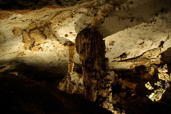 The Magura cave