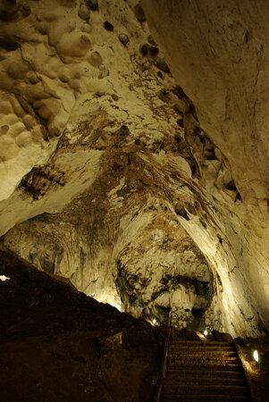 The Magura Cave