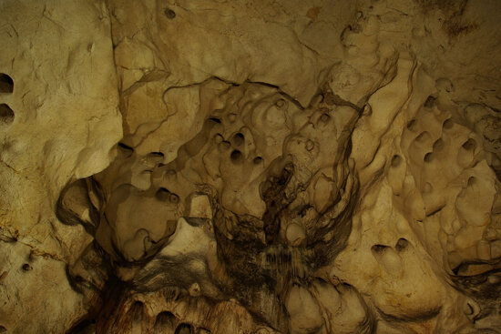 The Magura cave