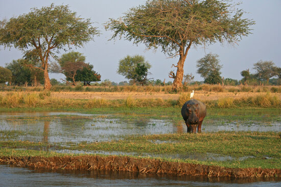 Mana Pools National Park - Zimbabwe
