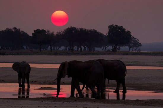 Mana Pools