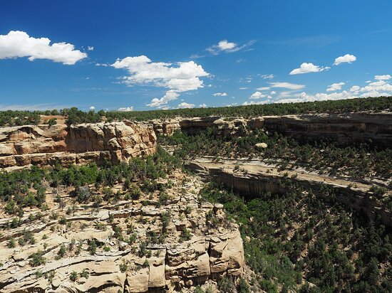 پارک ملی میزا ورده