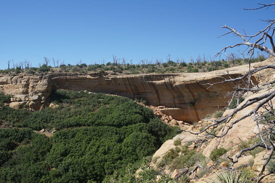 Step House trail, Mesa Verde