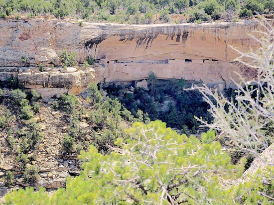 پارک ملی میزا ورده
