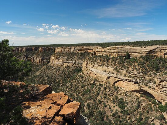 پارک ملی میزا ورده