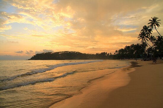 Mirissa Beach